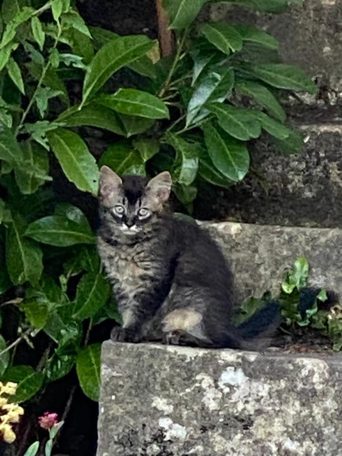 A La Maladiere Neuchâtel Zewnętrze zdjęcie